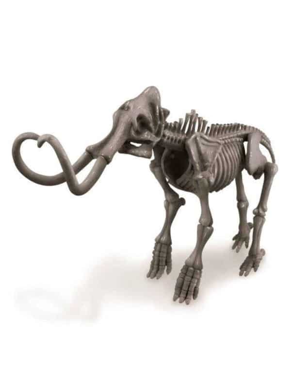 חפירת שלד ממותה - 4M