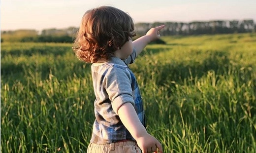 תמונה של ילד בשדה