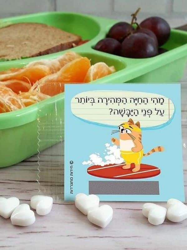 חידות מתגרדות לארוחת העשר – גילאי 6-8 סדרה 2