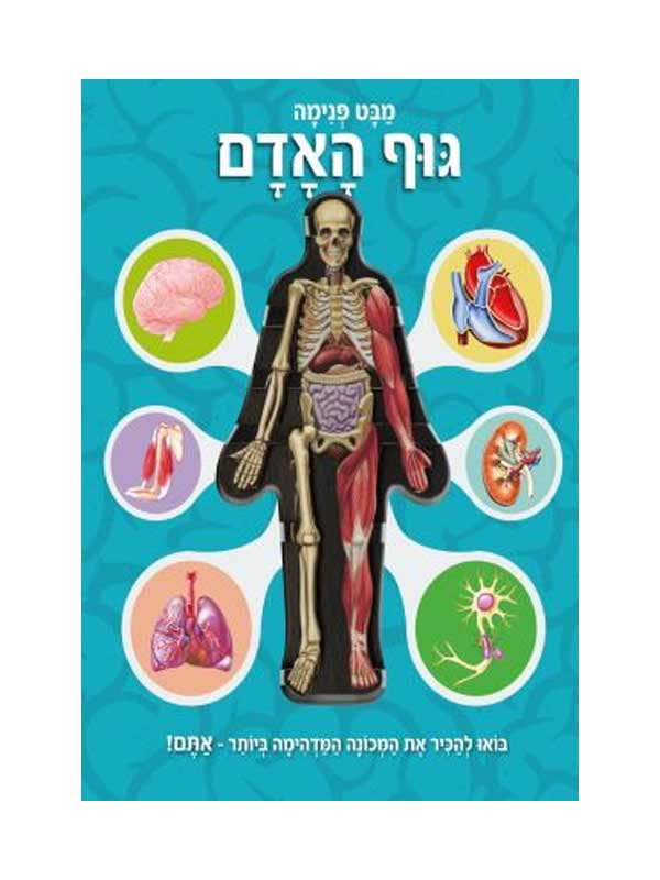 מבט פנימה גוף האדם