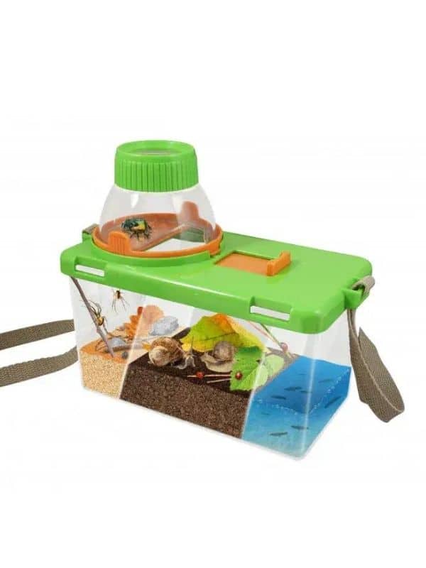 טרריום לגידול חרקים (בוקי צרפת)