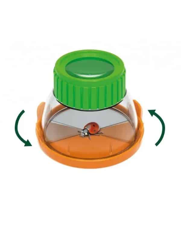 טרריום לגידול חרקים (בוקי צרפת)