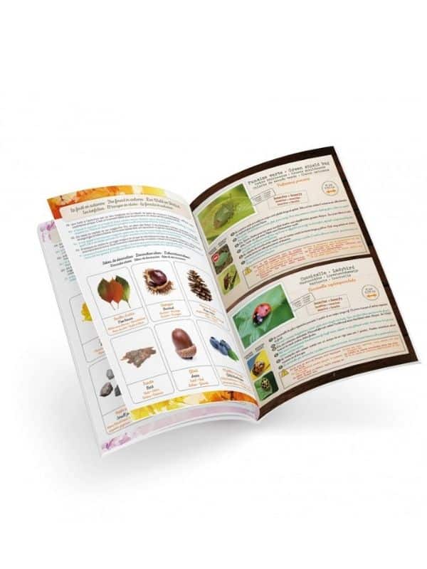 טרריום לגידול חרקים (בוקי צרפת)