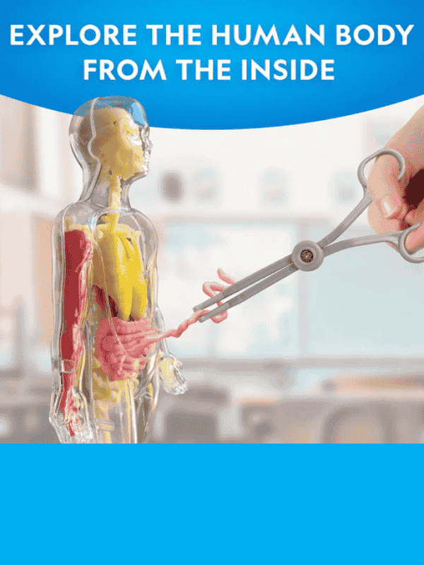 מודל גוף אנושי לילדים שזוהר בחושך - נשיונל ג'יאוגרפיק