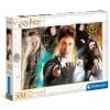פאזל הארי פוטר - 500 חלקים