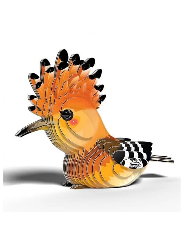 יוגי דוכיפת - Eugy