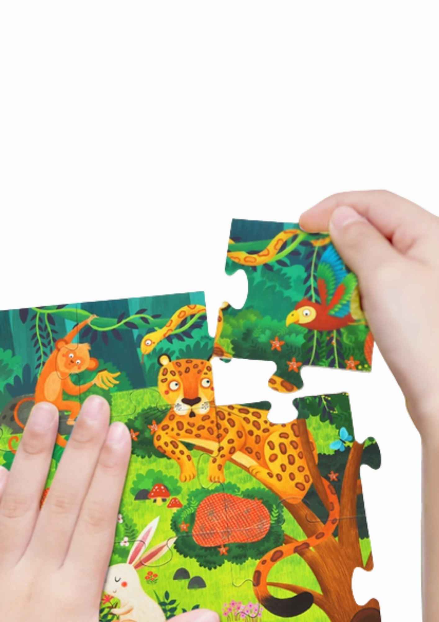 פאזל סודי - היער הקסום Mideer