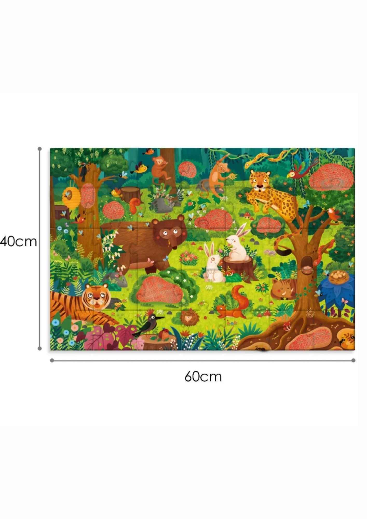 פאזל סודי - היער הקסום Mideer