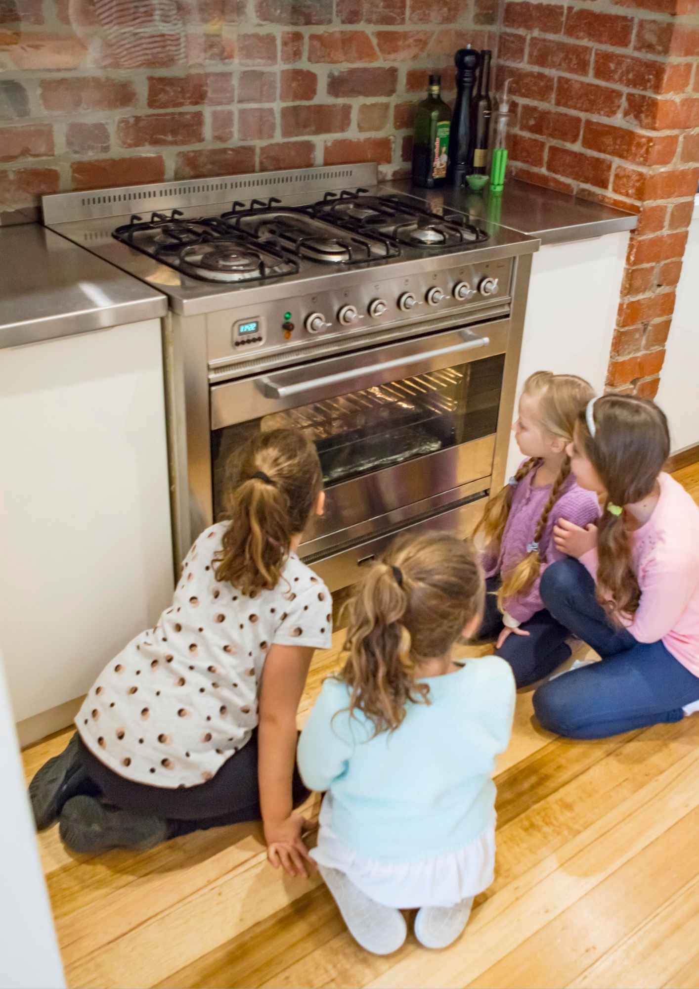 שרינקיס כחול - TigerTribe