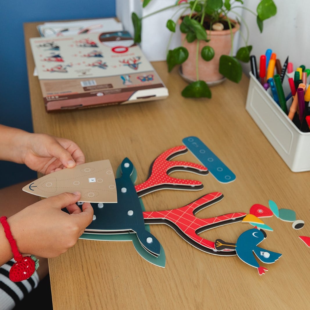 חיות קיר אייל - קיפוד (Kipod)