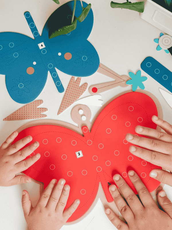 חיות קיר פרפר - קיפוד (Kipod)