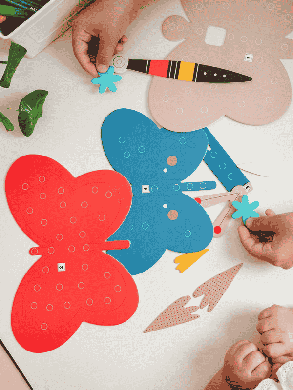 חיות קיר פרפר - קיפוד (Kipod)